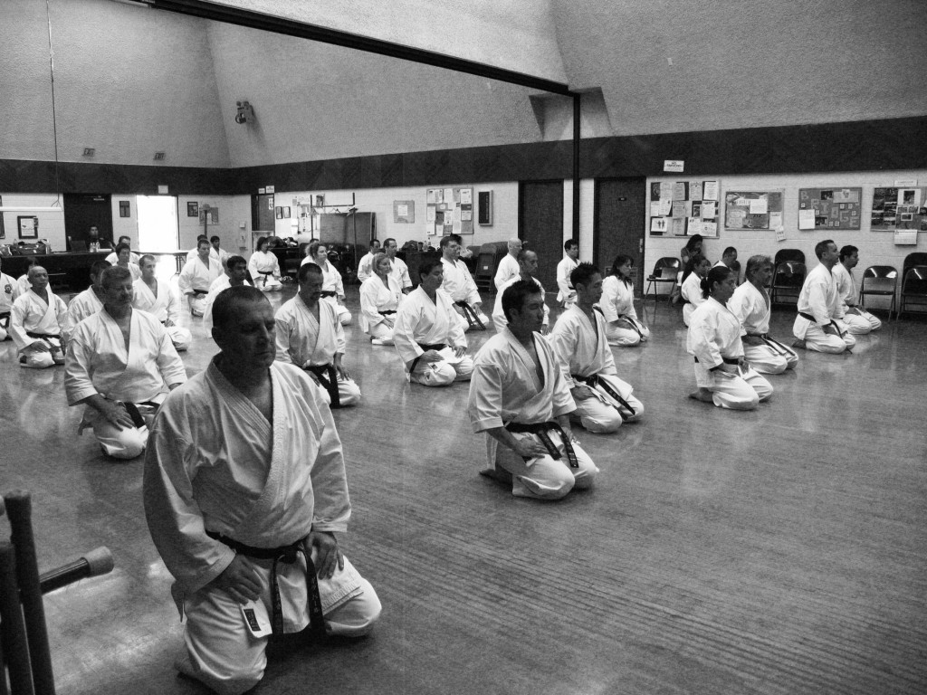 pleasanton karate | pleasanton martial arts